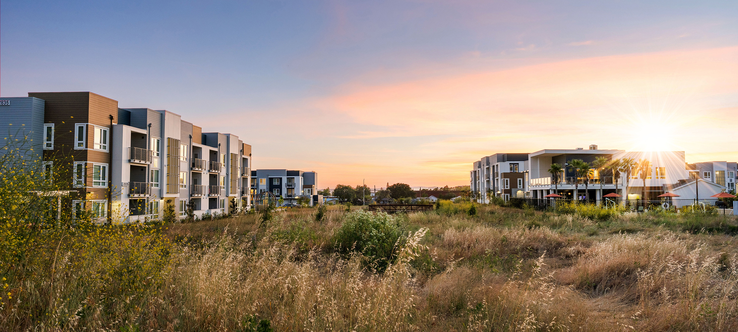Nature preserve and bioswales at Brown Construction project 38 Degrees North in Santa Rosa, CA